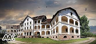 El estado psíquico de Vincent se deteriora