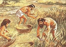 PERIODO ARCAICO (8,000 – 1,500 a.C.)