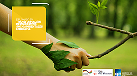 Timeline: Cronología del trabajo final Diplomado