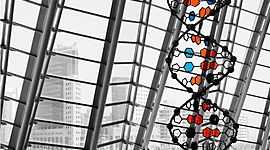 Timeline: CIENTIFICOS DE LA CLONACION