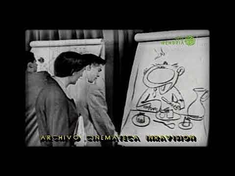 La señal Colombia y el cana 11