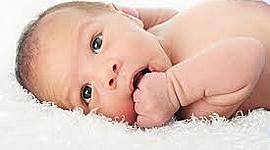 Timeline: Fecha de nacimiento