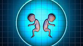 Timeline: historia de la clonacion por : Juan David Cristancho 10a