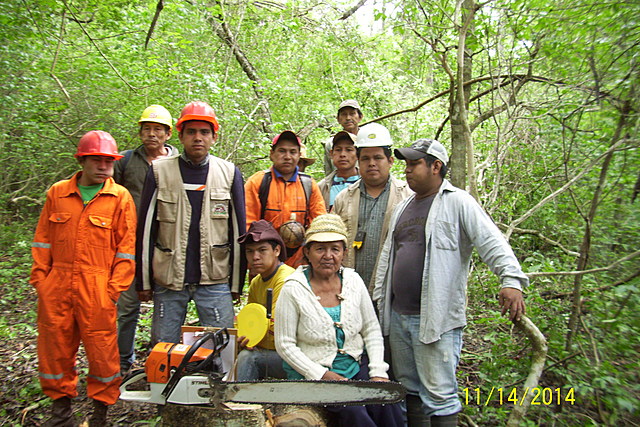 Entrega de los informes escritos del trabajo final