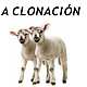 Titulo clonacion