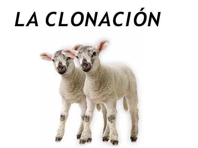 El famoso y gran éxito de la Clonación.