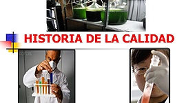 Timeline: LINEA DEL TIEMPO CALIDAD EN SALUD
