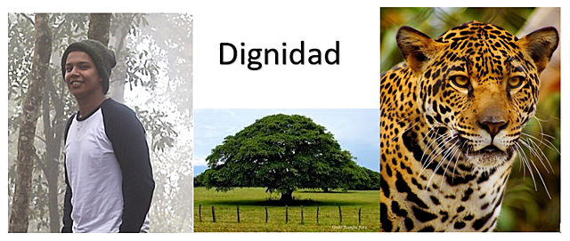 Ser integral (Semana 7)