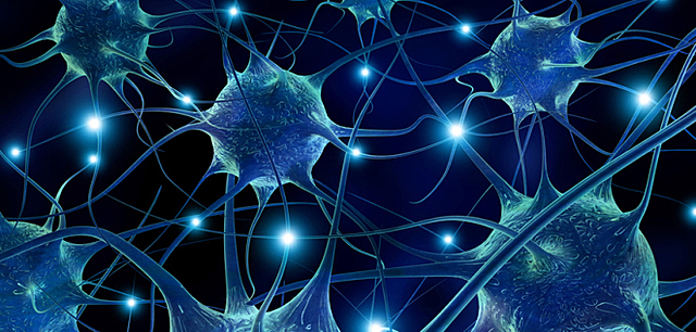 Iván Pávlov ¨Actividad nerviosa superior¨