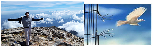 Ser libre (Semana 6)