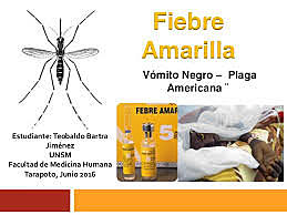 SINTOMAS DE LA  FIEBRE AMARRILLA