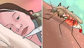 MUERTES POR LA FIEBRE AMARRILLA