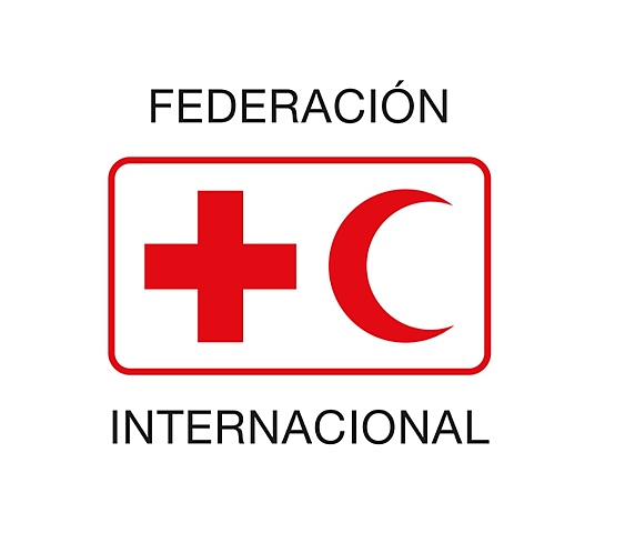 CREACIÓN DE LA CRUZ ROJA