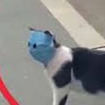 Timeline: La Linea De Tiempo, De La Linea De Tiempo, De La Linea Del Tiempo, De La Linea Del Tiempo, De La Linea Del Tiempo, De La Linea Del Tiempo De El Brayan (Viajero Del Tiempo