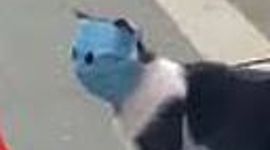 Timeline: La Linea De Tiempo, De La Linea De Tiempo, De La Linea Del Tiempo, De La Linea Del Tiempo, De La Linea Del Tiempo, De La Linea Del Tiempo De El Brayan (Viajero Del Tiempo