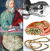 HIPÓCRATES  año 460-367 a.C