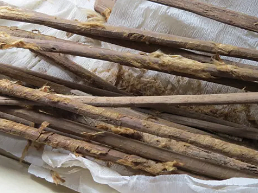 Spread of Disease and Parasites