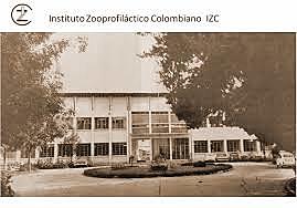 Primeros cursos a través de videos