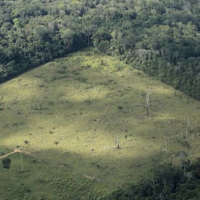 Timeline: "CAMBIOS QUE RECIBIÓ LA SELVA EN LOS ÚLTIMOS 20 AÑOS"