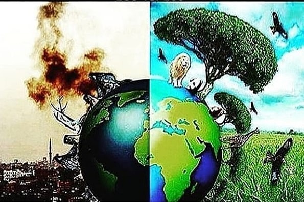 Devastación en el amazonas