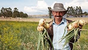 Bachillerato a distancia