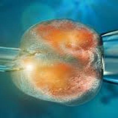 Timeline: La Historia de la Clonacion