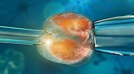 Timeline: La Historia de la Clonacion