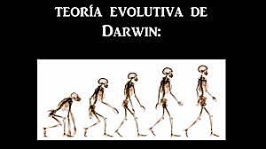 Teorias evolutivas