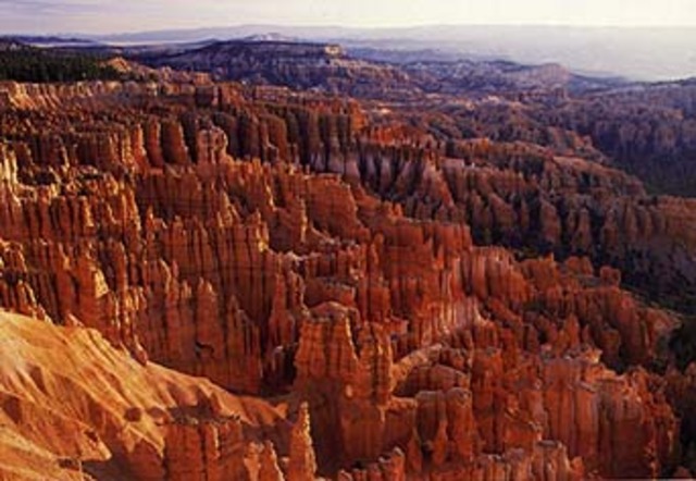Bryce Canyron