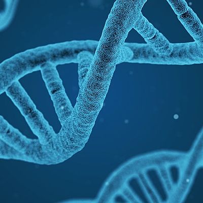 Timeline: Historia de la clonación                                                                 Natalia chiquiza -Alejandra Guzman