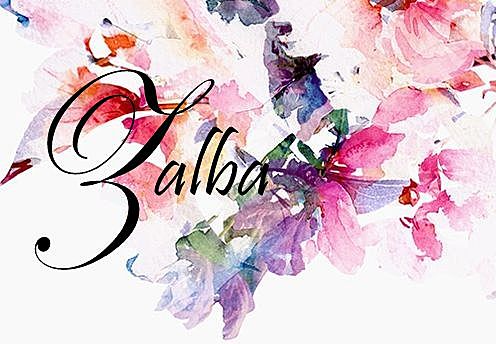 Creación de marca Zalba