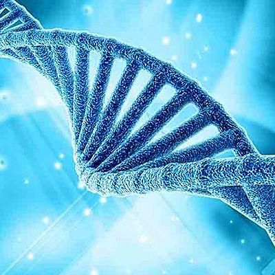 Timeline: HISTORIA DE LA CLONACION