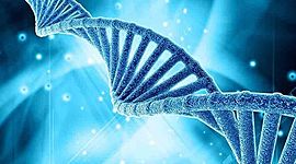 Timeline: HISTORIA DE LA CLONACION