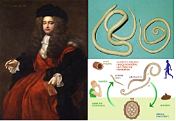 EDWARD TYZON año 1651-1708