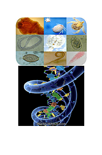 Parasitología y la Era de la Genética Molecular 2000-2020
