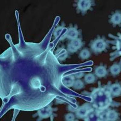 Timeline: the black death