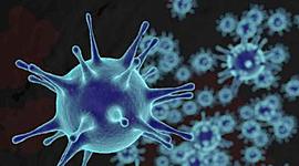 Timeline: the black death