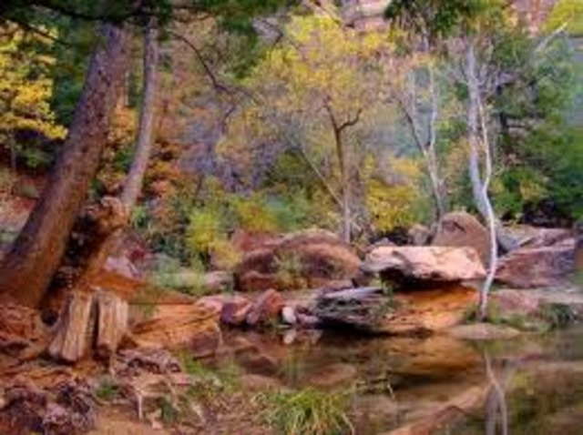 Zions National Park