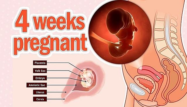 Important Milestone #1 (4 Weeks)