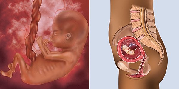 Important Milestone #2 (10 Weeks)