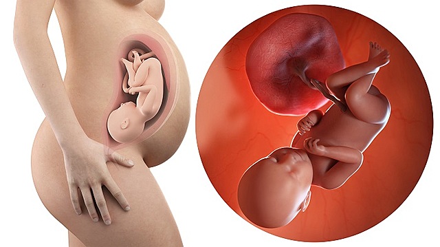 Important Milestone #3 (39 Weeks)