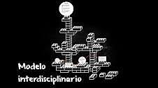 Modelo Interdisciplinario
