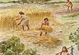 difusión de técnicas de agricultura