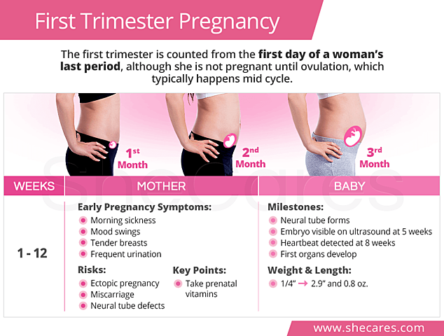 1st Trimester Support