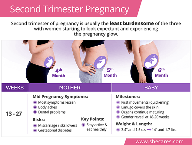 2nd Trimester Support