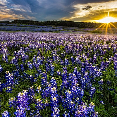Timeline: Texas Significant events