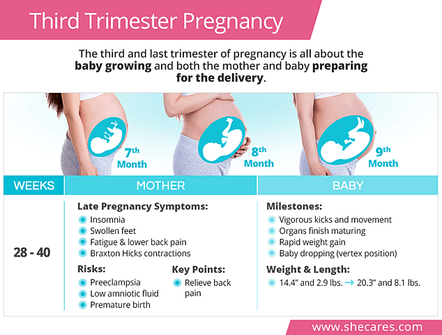 3rd Trimester Support