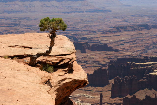 Canyonlands National Park