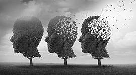 Timeline: Mis más grandes recuerdos