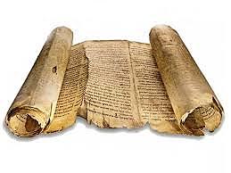 APORTACIONES DE SAN PATRICIO